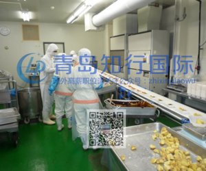 赴日本和歌山县技能实习生-食品工