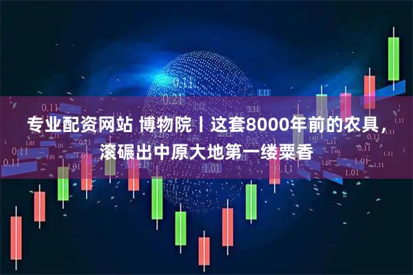 专业配资网站 博物院丨这套8000年前的农具，滚碾出中原大地第一缕粟香