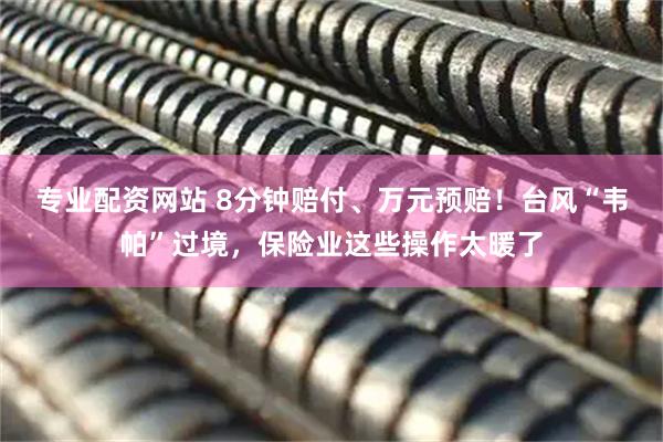 专业配资网站 8分钟赔付、万元预赔！台风“韦帕”过境，保险业这些操作太暖了